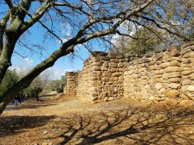 The wall of the fortress at Tel Dan