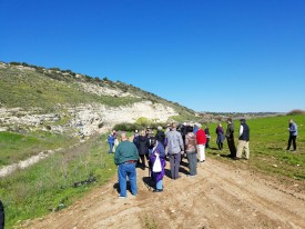 The Valley of Elah, where David slew Goliath