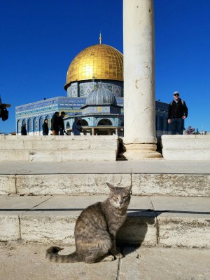 Not the typical shot of the Dome of the Rock on the Temple Mount